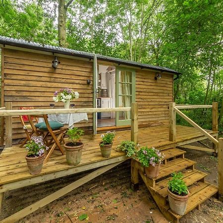 Villa Woodland Retreat Shepherds Hut Brundish Exterior foto