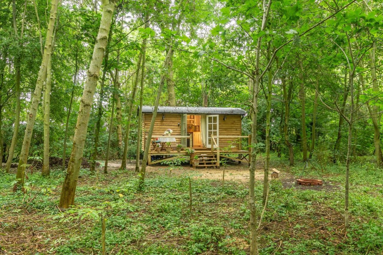 Villa Woodland Retreat Shepherds Hut Brundish Exterior foto